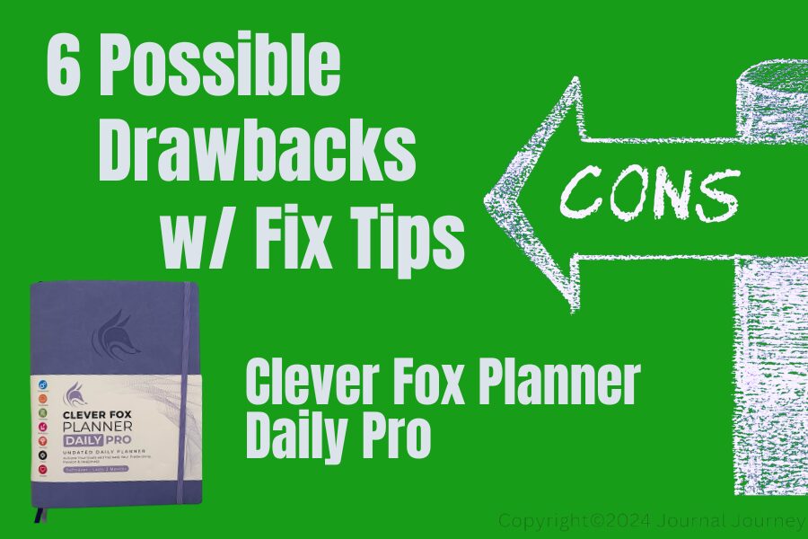 Possible_Drawbacks_Of_Clever_Fox_Planner.