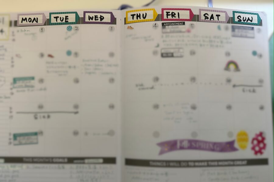 Week_Starts_Sunday_Clever_Fox_Planner