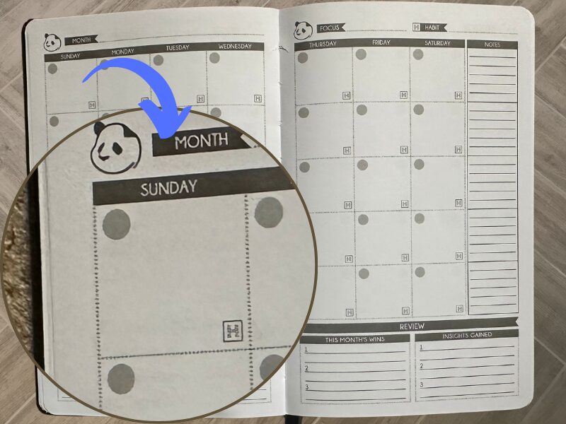 Sunday_Start_3_Month_Panda_Classic