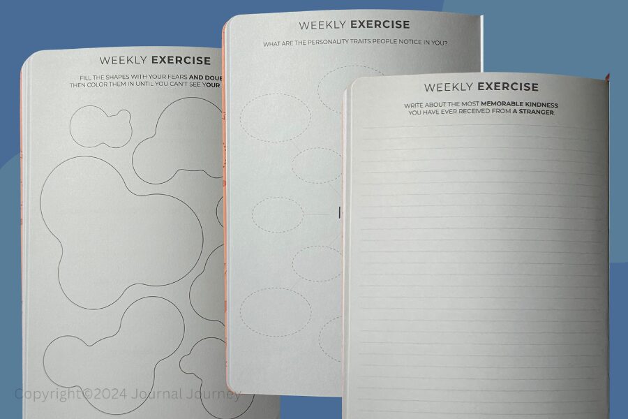 Clever_Fox_Gratitude_Weekly_Exercise